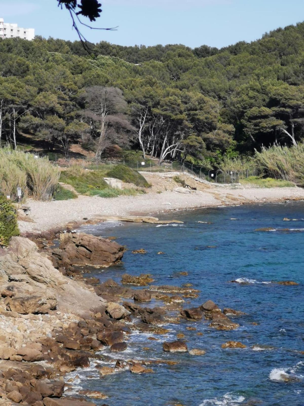 Petit Paradis - St Mandrier Village Saint-Mandrier-sur-Mer Eksteriør bilde