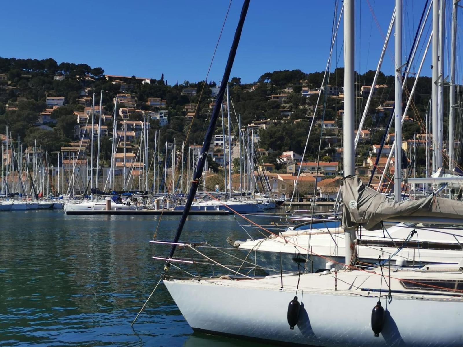 Petit Paradis - St Mandrier Village Saint-Mandrier-sur-Mer Eksteriør bilde